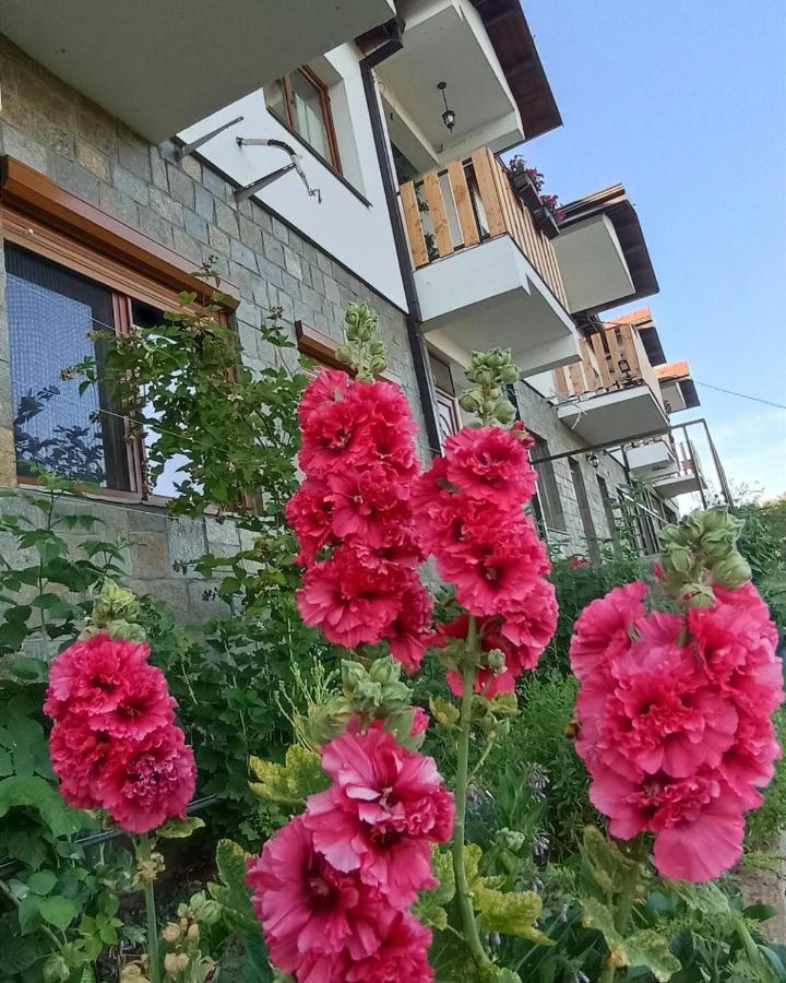 Lesnovo House Tomevski Exterior photo